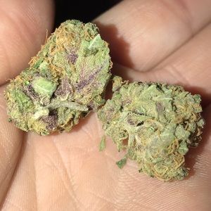 Meet your Posher, Dominic